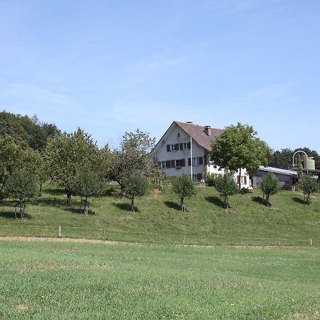 Bnb Im Waldhof Bachenbulach Екстериор снимка