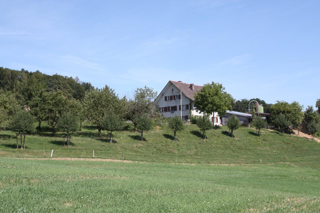 Bnb Im Waldhof Bachenbulach Екстериор снимка