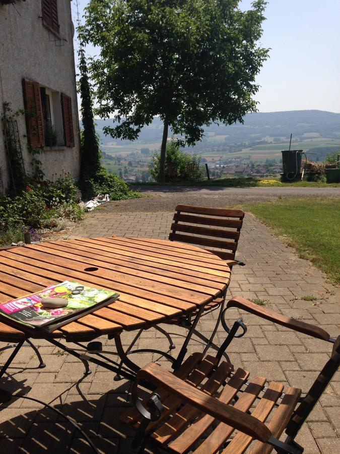Bnb Im Waldhof Bachenbulach Екстериор снимка