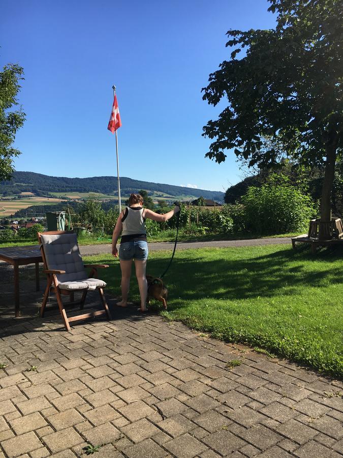 Bnb Im Waldhof Bachenbulach Екстериор снимка